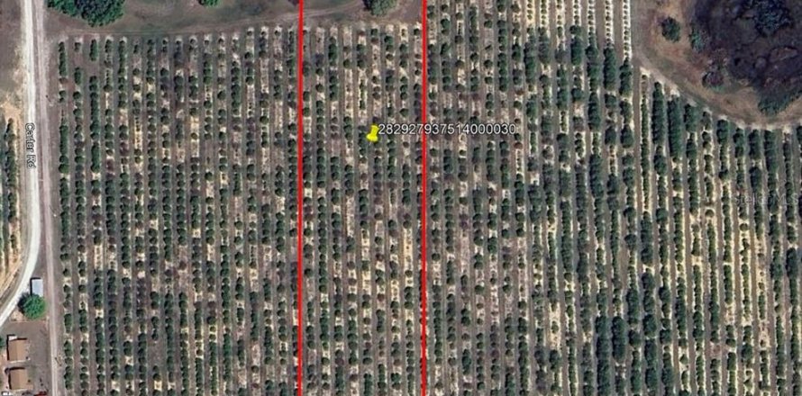 Terreno en Lake Wales, Florida № 1765605