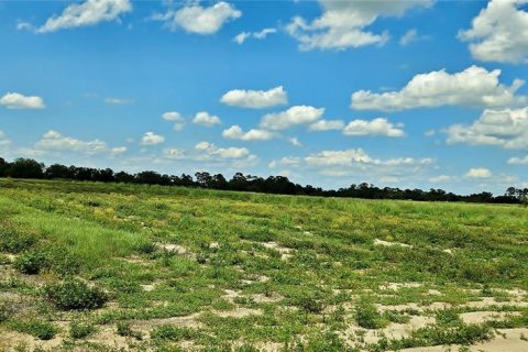 Terreno en venta en Lake Wales, Florida № 1765605 - foto 4
