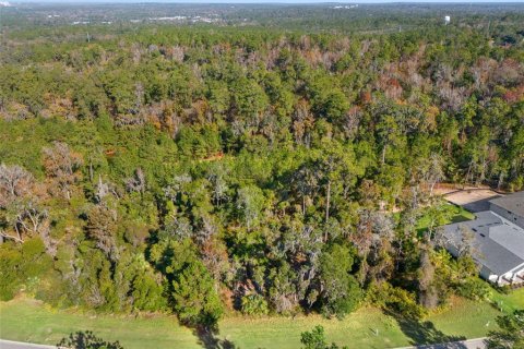 Terrain à vendre à Brooksville, Floride № 2104298 - photo 6