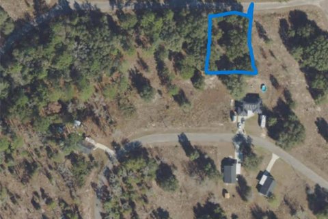 Terreno en Ocklawaha, Florida № 2162103
