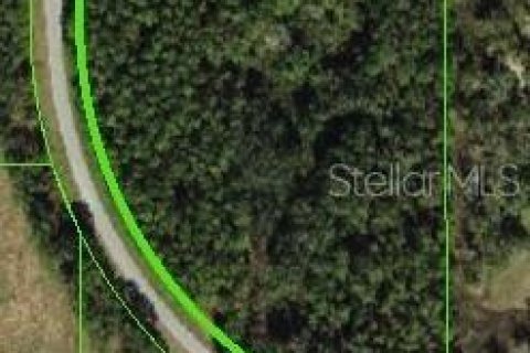 Terreno en venta en Dade City, Florida № 1846958 - foto 1