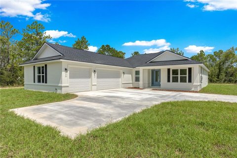 Villa ou maison à Dunnellon, Floride 3 chambres, 218.78 m2 № 2341699