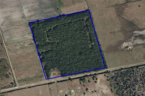 Terreno en venta en Mims, Florida № 2228186 - foto 4