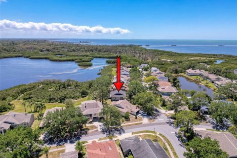Villa ou maison à vendre à Tarpon Springs, Floride: 3 chambres, 129.23 m2 № 1639700 - photo 1