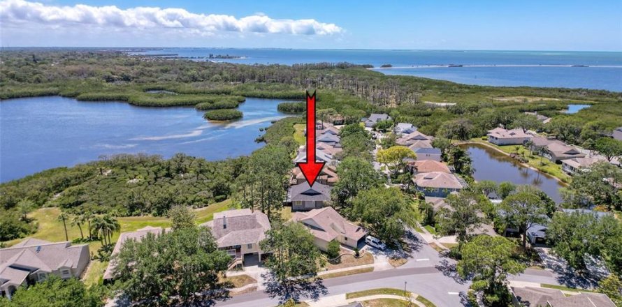 Villa ou maison à Tarpon Springs, Floride 3 chambres, 129.23 m2 № 1639700
