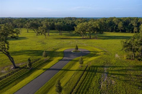 Terreno en venta en Ocala, Florida № 2097369 - foto 5