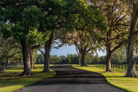 Terreno en venta en Ocala, Florida № 2097369 - foto 2