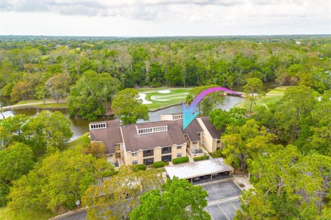 Condo in Oldsmar, Florida, 2 bedrooms  № 1733969 - photo 2
