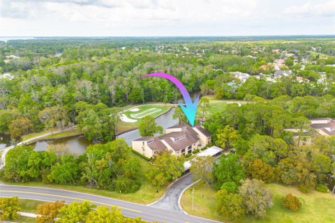 Condo in Oldsmar, Florida, 2 bedrooms  № 1733969 - photo 1