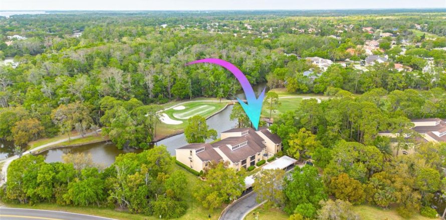Condominio en Oldsmar, Florida, 2 dormitorios № 1733969