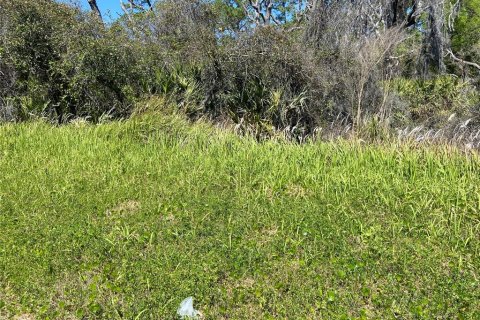 Land in De Leon Springs, Florida № 2164383 - photo 3