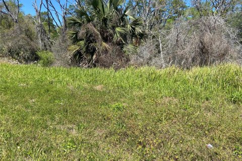 Land in De Leon Springs, Florida № 2164383 - photo 2