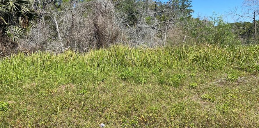 Land in De Leon Springs, Florida № 2164383