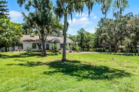 House in Minneola, Florida 5 bedrooms, 723.71 sq.m. № 1805845 - photo 4