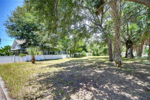 Land in Tampa, Florida № 2166286 - photo 2