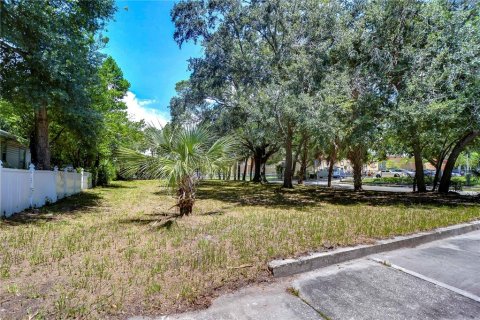 Land in Tampa, Florida № 2166286 - photo 3