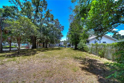 Land in Tampa, Florida № 2166286 - photo 12