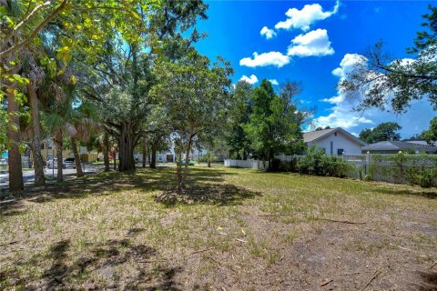 Land in Tampa, Florida № 2166286 - photo 11