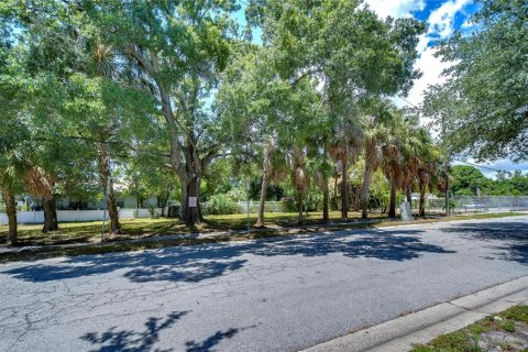 Land in Tampa, Florida № 2166286 - photo 5
