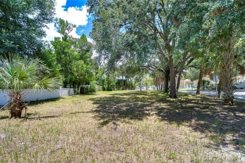 Land in Tampa, Florida № 2166286