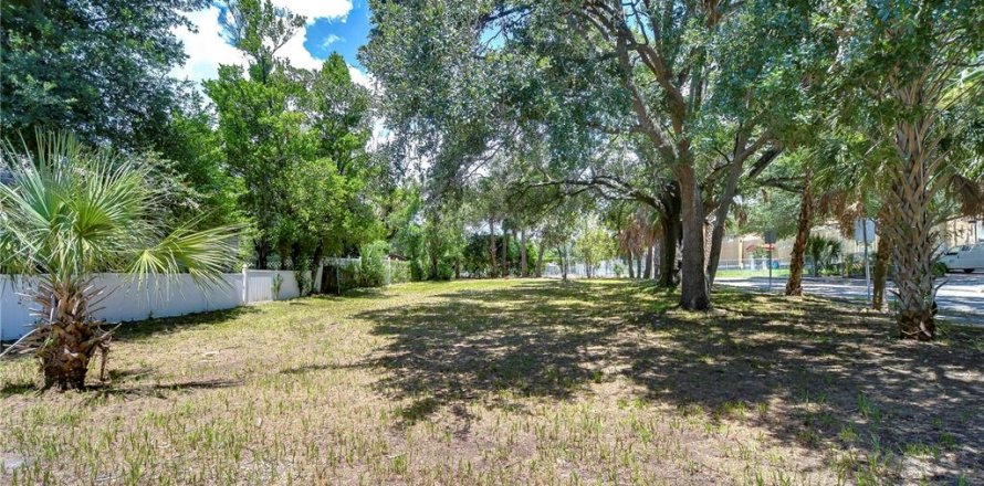 Land in Tampa, Florida № 2166286