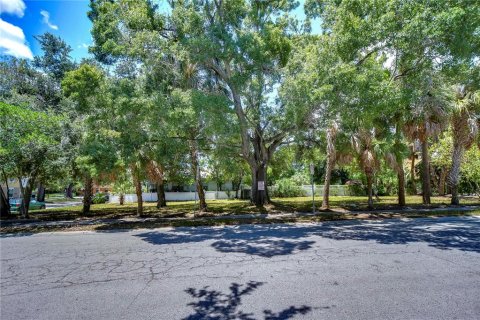 Land in Tampa, Florida № 2166286 - photo 6