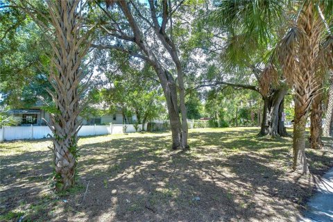 Land in Tampa, Florida № 2166286 - photo 4