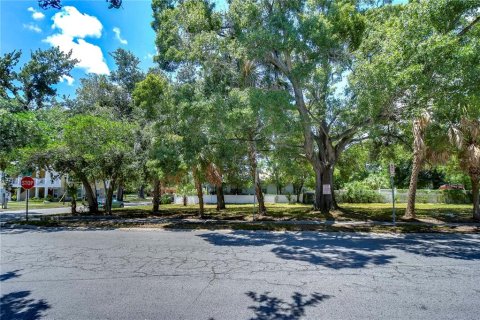 Land in Tampa, Florida № 2166286 - photo 7