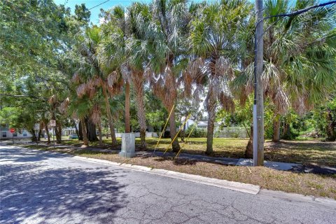 Land in Tampa, Florida № 2166286 - photo 9