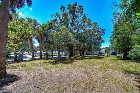 Land in Tampa, Florida № 2166286 - photo 13
