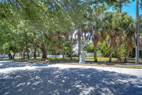 Land in Tampa, Florida № 2166286 - photo 8