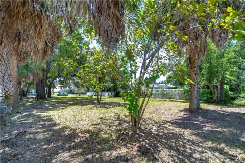 Land in Tampa, Florida № 2166286 - photo 10