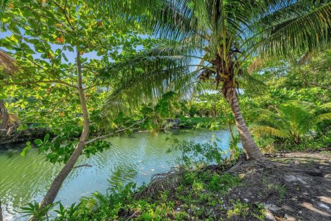 Villa ou maison à vendre à South Miami, Floride: 4 chambres, 247.96 m2 № 2025407 - photo 14