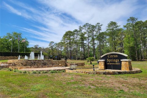 Land in Citrus Springs, Florida № 1246691 - photo 18