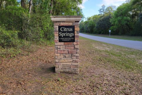 Land in Citrus Springs, Florida № 1246691 - photo 19