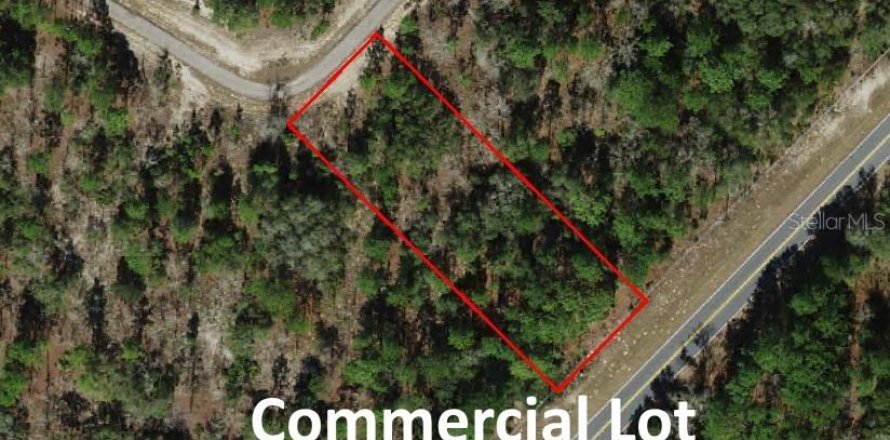 Land in Citrus Springs, Florida № 1246691