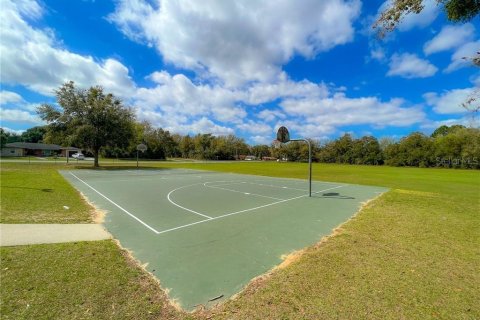 Land in Citrus Springs, Florida № 1246691 - photo 11