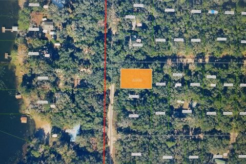 Land in Interlachen, Florida № 2214940