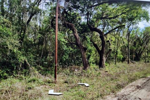 Land in Interlachen, Florida № 2214940 - photo 2