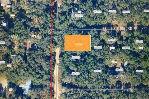 Land in Interlachen, Florida № 2214940 - photo 4