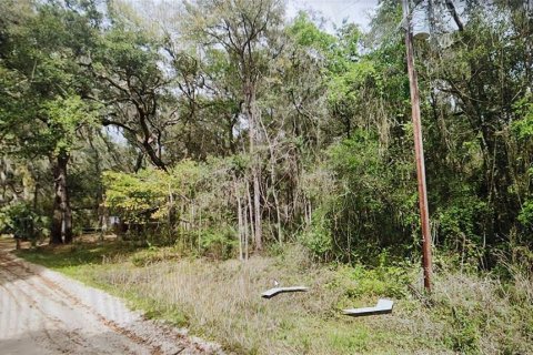 Land in Interlachen, Florida № 2214940 - photo 3