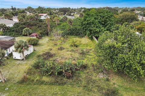 Land in Port Charlotte, Florida № 2228421 - photo 10