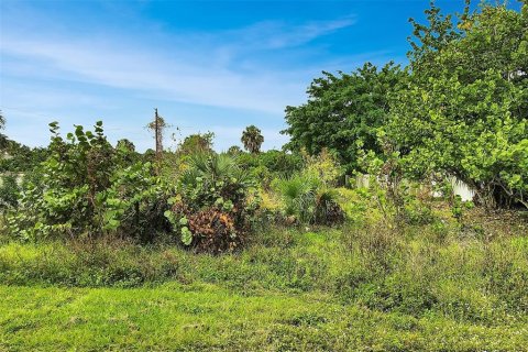Land in Port Charlotte, Florida № 2228421 - photo 11