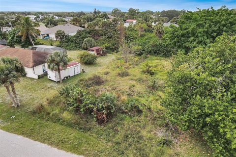 Land in Port Charlotte, Florida № 2228421 - photo 9