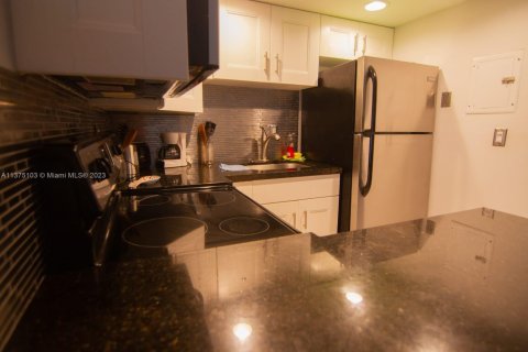Apartamento en alquiler en Miami Beach, Florida, 1 dormitorio, 59.46 m2 № 1935145 - foto 15