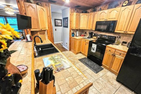 Купить виллу или дом в Уэбстер, Флорида 9 комнат, 124.49м2, № 1690629 - фото 3