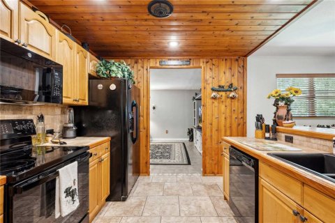 Купить виллу или дом в Уэбстер, Флорида 9 комнат, 124.49м2, № 1690629 - фото 5