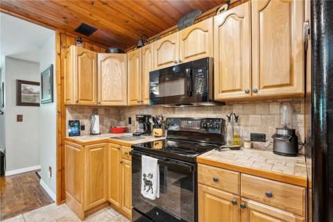 Купить виллу или дом в Уэбстер, Флорида 9 комнат, 124.49м2, № 1690629 - фото 16