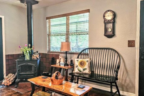 Купить виллу или дом в Уэбстер, Флорида 9 комнат, 124.49м2, № 1690629 - фото 13