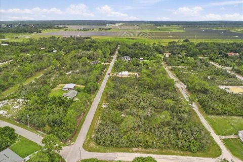 Land in Lake Placid, Florida № 2370686 - photo 16